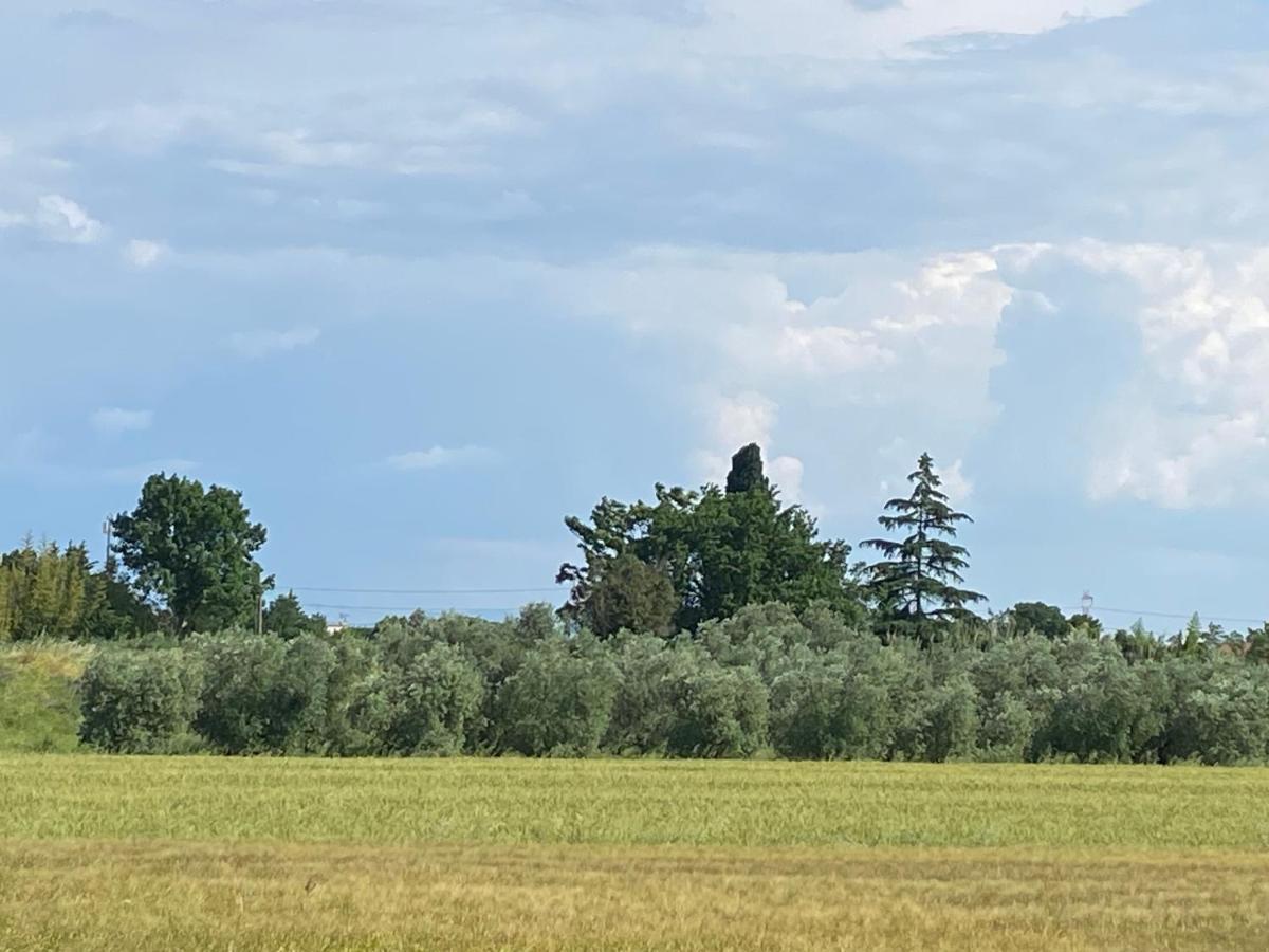 Accanto A Firenze Prato  Dış mekan fotoğraf