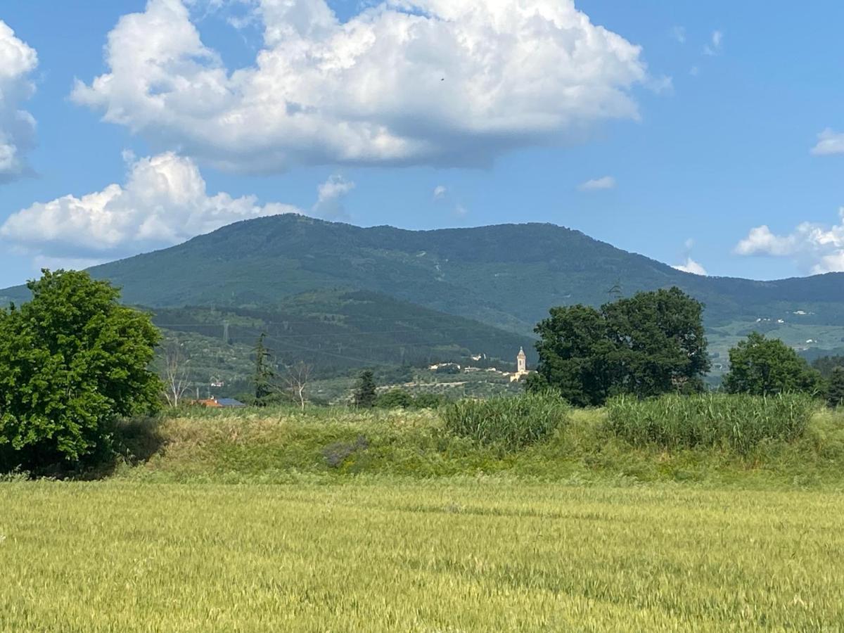Accanto A Firenze Prato  Dış mekan fotoğraf