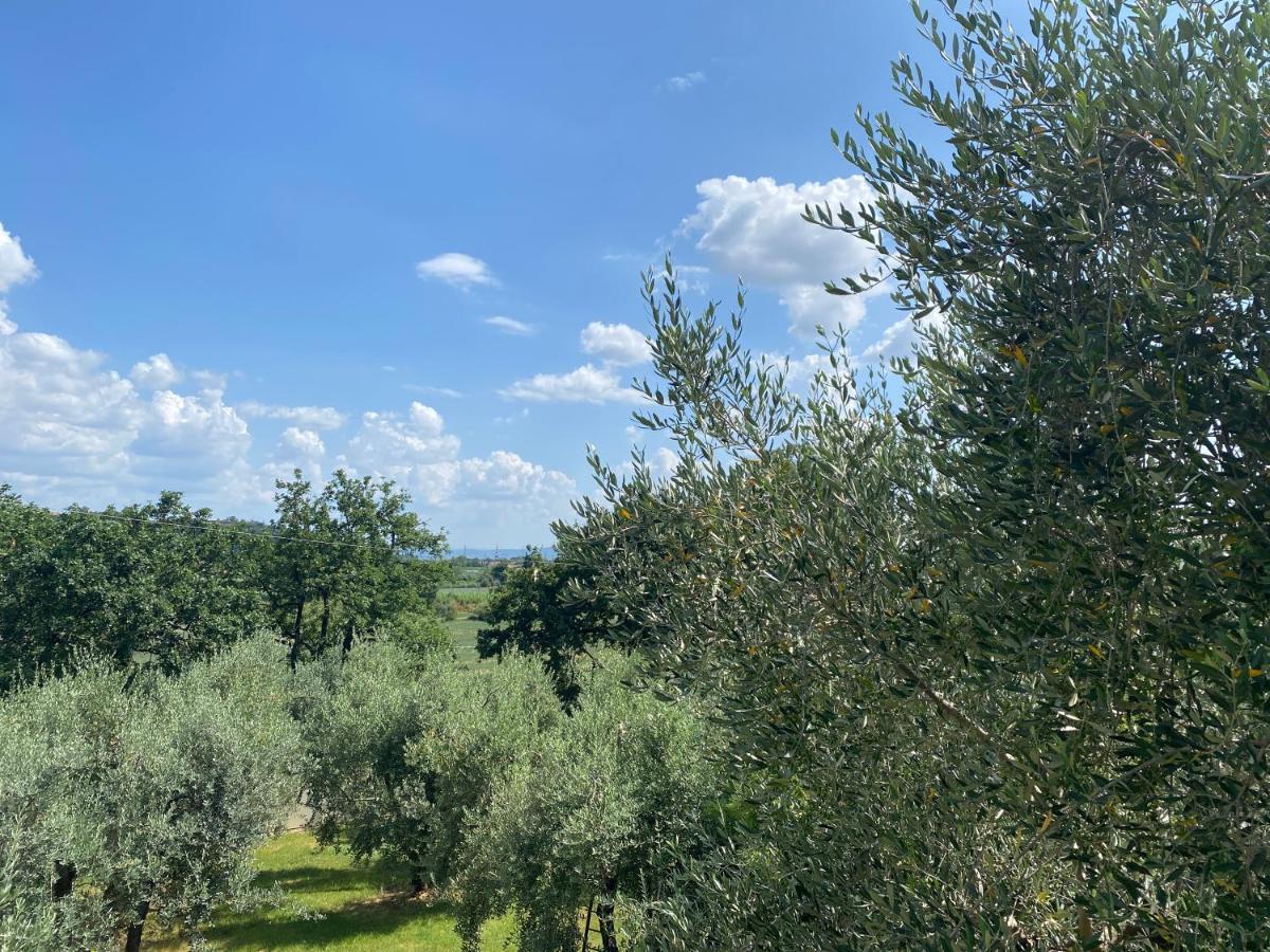 Accanto A Firenze Prato  Dış mekan fotoğraf